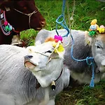 San Giusto 3* Falcade