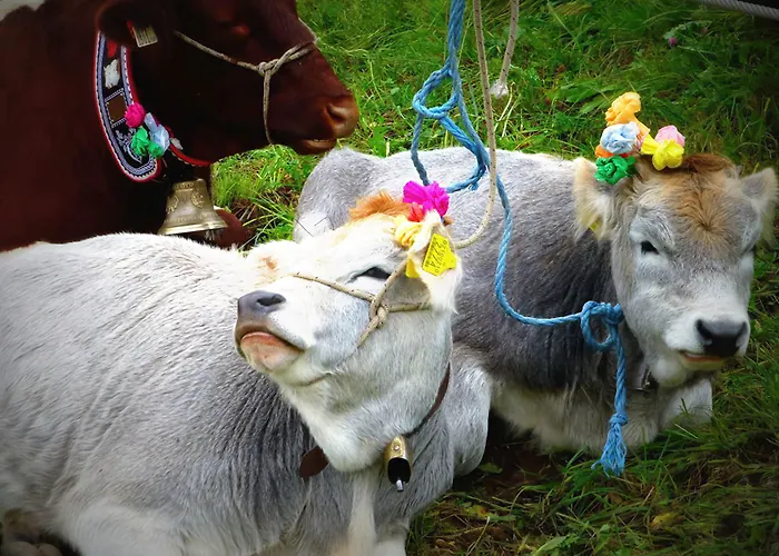 San Giusto 3* 팔카데